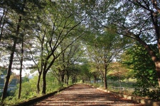 수레의산 국민여가 캠핑장