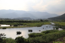 수목화 송정마을 오토캠핑장