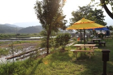 수목화 송정마을 오토캠핑장