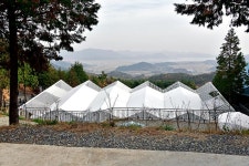 순천 승주CC 글램핑 고캠핑