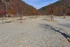 숲이조아캠핑장