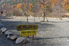 숲이조아캠핑장