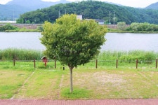 쉬리마을 농어촌 관광 휴양단지 야영장 고캠핑