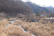 신대리야영장(주식회사 태기산마을 농업회사법인)