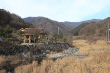 신대리야영장(주식회사 태기산마을 농업회사법인) 고캠핑