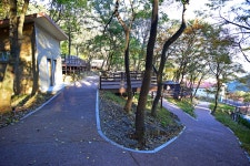 신어산자연숲캠핑장