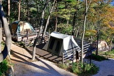 신어산자연숲캠핑장