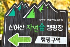 신어산자연숲캠핑장