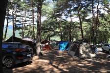 십이선녀탕 통나무집 야영장