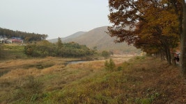 써니밸리오토캠핑장 고캠핑