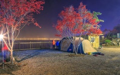 씨사이드힐 캠핑장 고캠핑