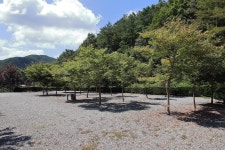 아빠의나무 야영장