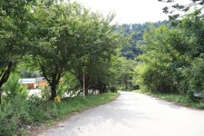 아침가리 계곡 캠핑장