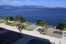 타이거스피드 안녕오토캠핑장