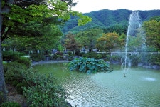 알프스농원캠핑장