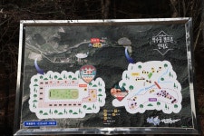 약수골캠프촌 숲속캠핑장 고캠핑