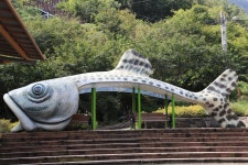 어름치마을캠핑장