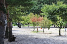 삼척엘림캠핑장 고캠핑