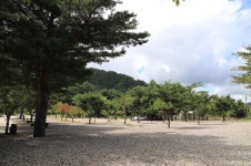 삼척엘림캠핑장