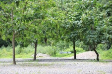 삼척엘림캠핑장