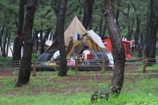 연곡해변 솔향기캠핑장