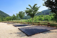 연산 황산벌오토캠핑장 고캠핑