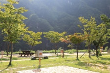 영월 동강오토캠핑장