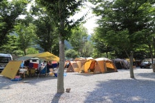 영월 외룡 캠핑장