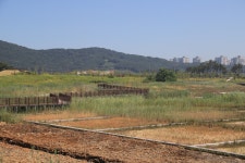 영종씨사이드캠핑장