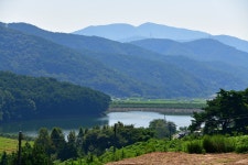 영학관광농원야영장