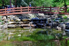 오도산 자연휴양림 고캠핑