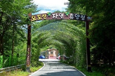 오도산 자연휴양림 고캠핑