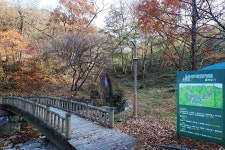 옥성 자연휴양림 고캠핑