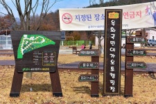 옥화자연휴양림 국민여가오토캠핑장
