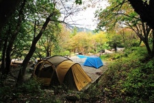 계룡산동학사자동차야영장