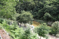 와라캠핑장