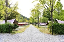 한국관광공사 고캠핑 고캠핑