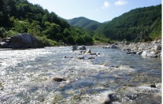 왕피천하늘담야영장