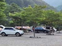 왕피천하늘담야영장