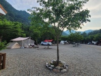 왕피천하늘담야영장