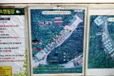 용인랜드 숲속캠핑장 고캠핑