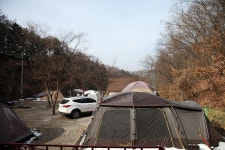 용인랜드 숲속캠핑장 고캠핑
