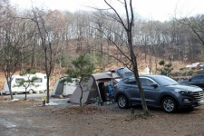 용인랜드 숲속캠핑장 고캠핑