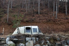 용인랜드 숲속캠핑장 고캠핑