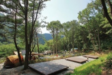 용현 자연휴양림 야영장 고캠핑