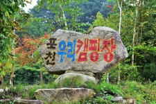 우리 캠핑장 고캠핑