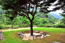 우리 캠핑장 고캠핑