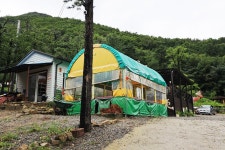 용인 자연숲