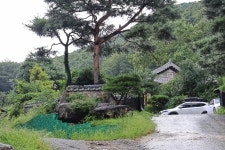 용인 자연숲 캠핑장 고캠핑