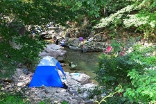 국립운장산자연휴양림 야영장 고캠핑
